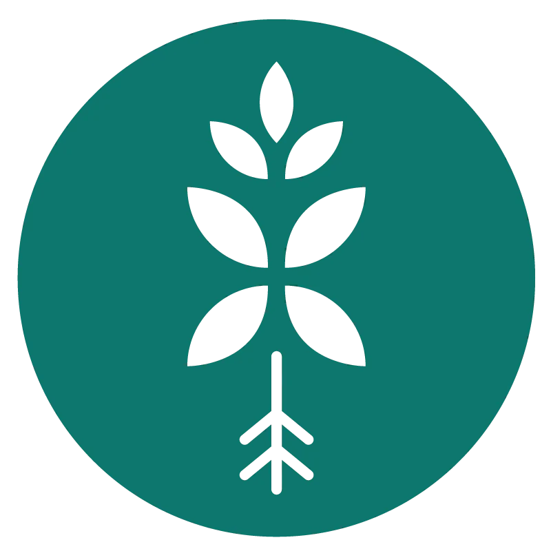 Bloombox Club